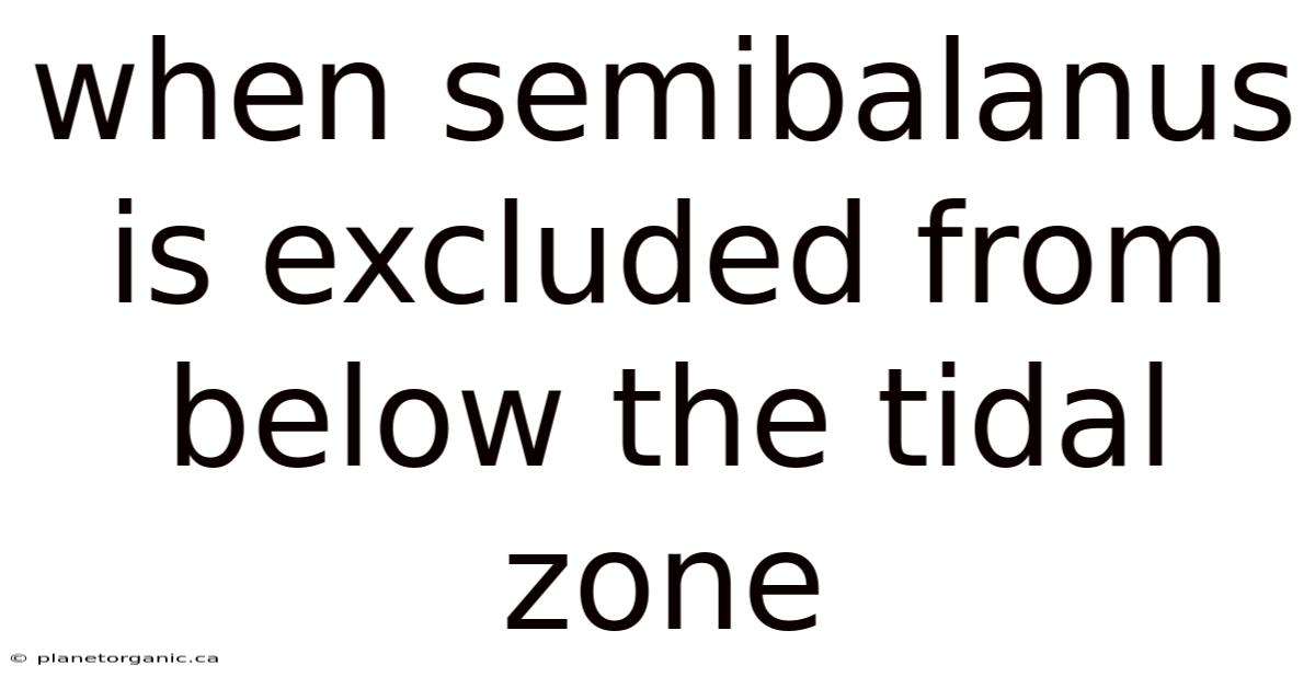 When Semibalanus Is Excluded From Below The Tidal Zone
