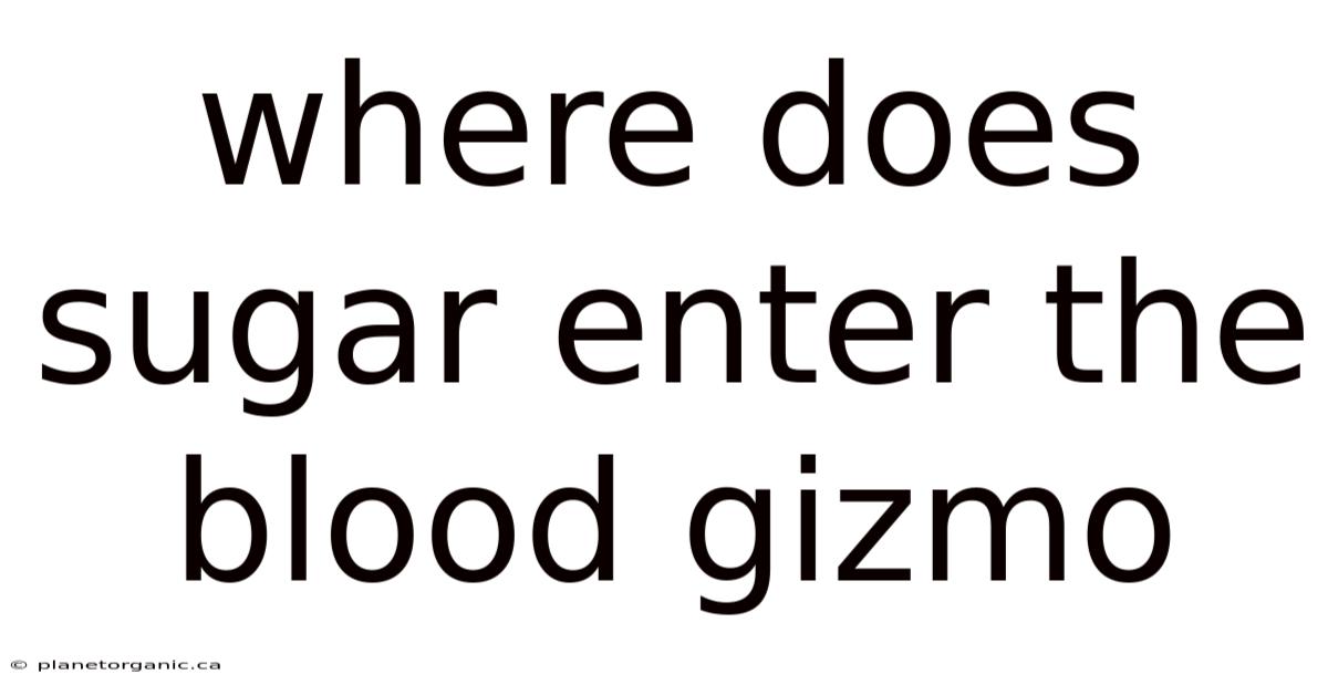 Where Does Sugar Enter The Blood Gizmo