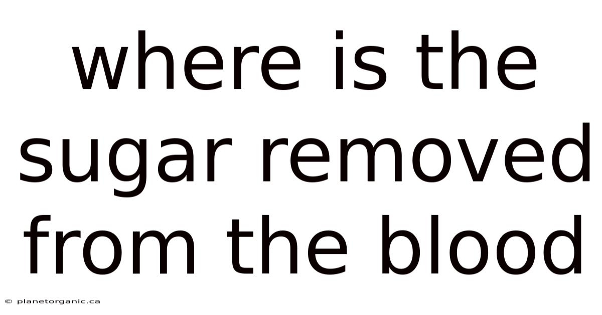 Where Is The Sugar Removed From The Blood