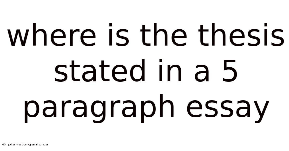 Where Is The Thesis Stated In A 5 Paragraph Essay