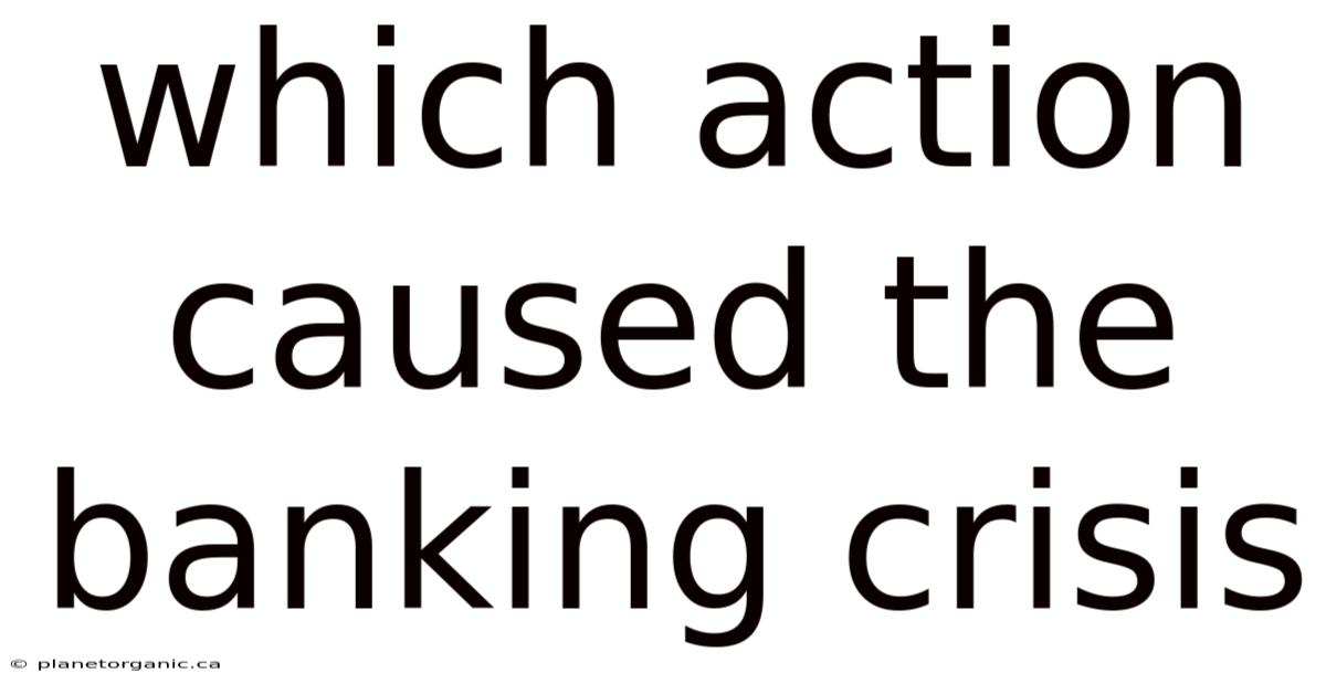 Which Action Caused The Banking Crisis