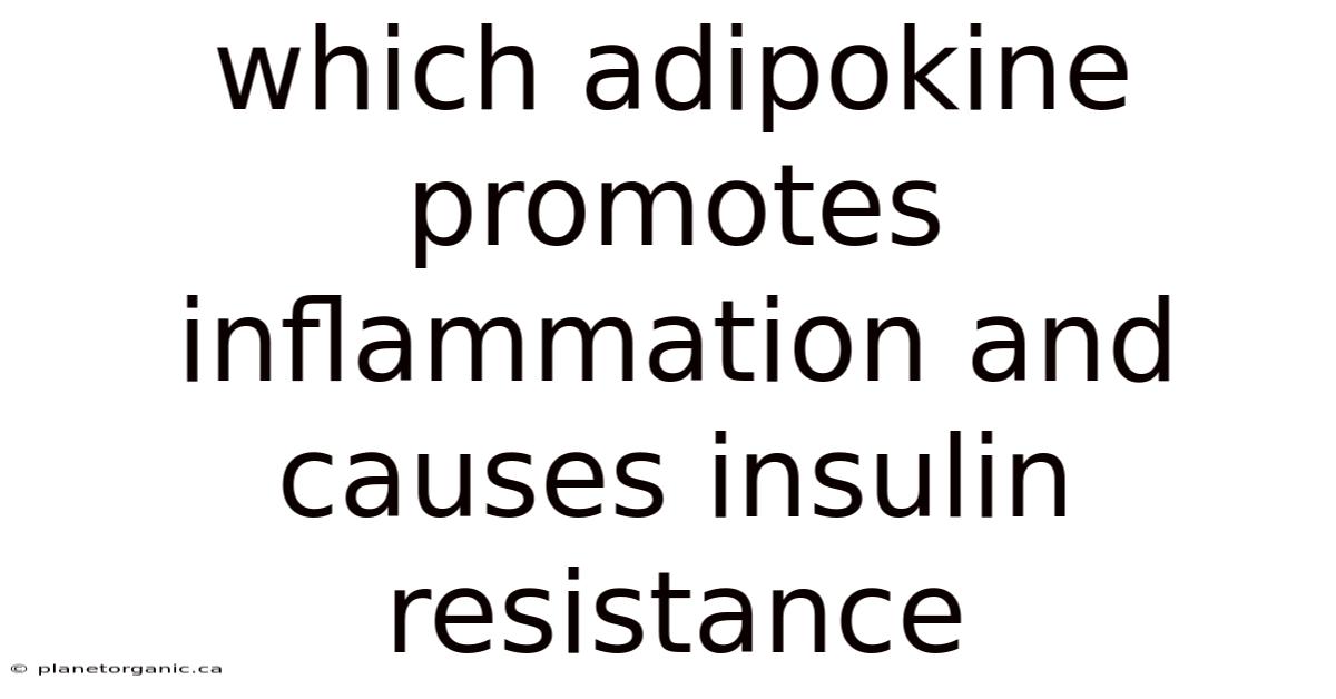 Which Adipokine Promotes Inflammation And Causes Insulin Resistance
