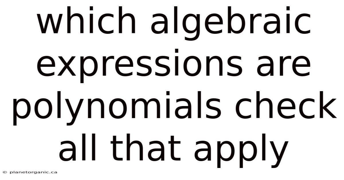 Which Algebraic Expressions Are Polynomials Check All That Apply