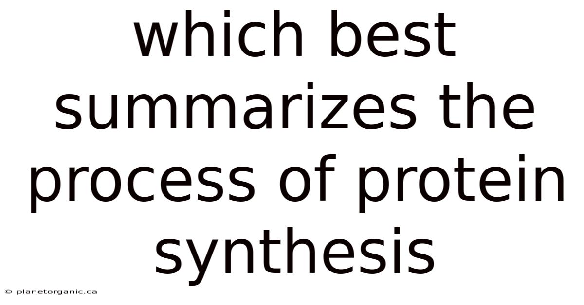 Which Best Summarizes The Process Of Protein Synthesis