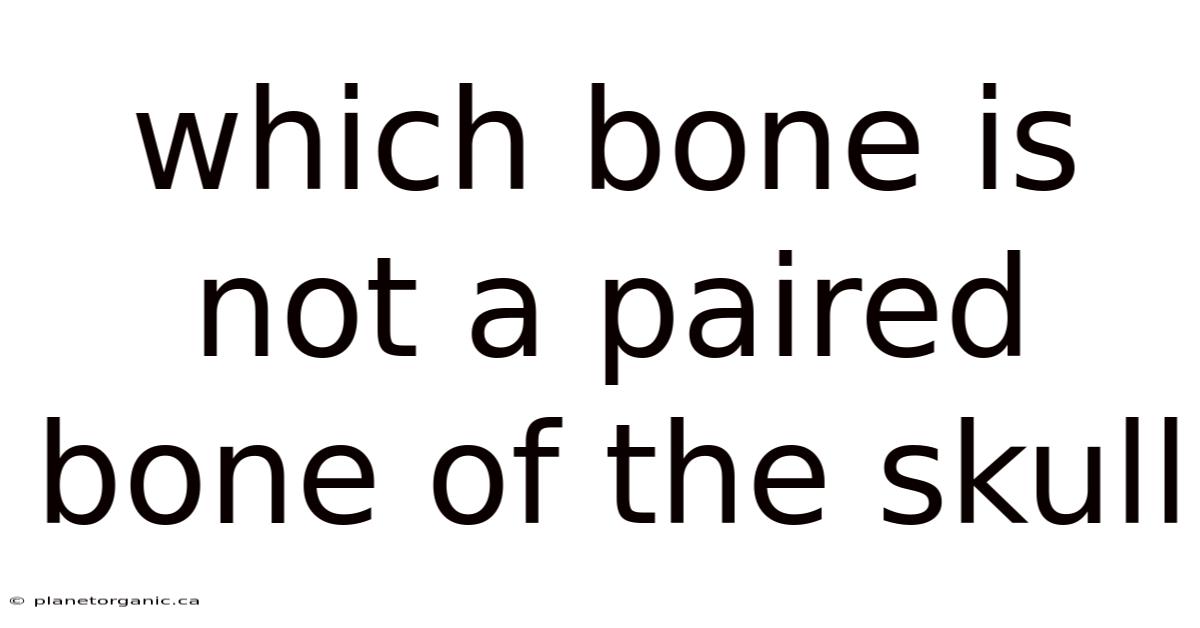 Which Bone Is Not A Paired Bone Of The Skull