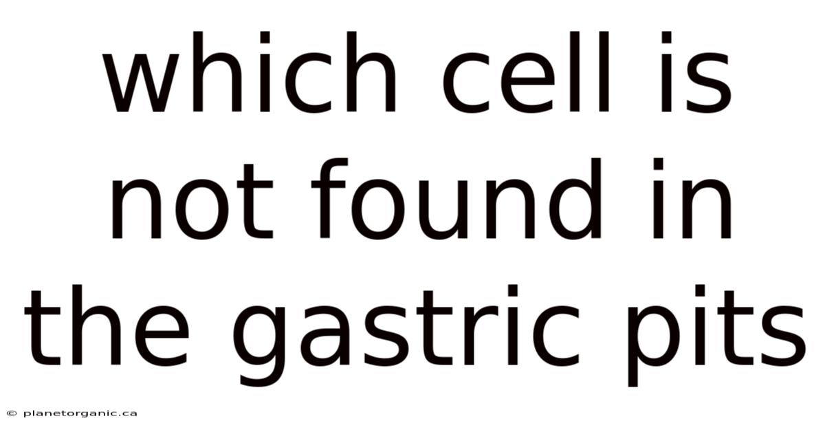 Which Cell Is Not Found In The Gastric Pits