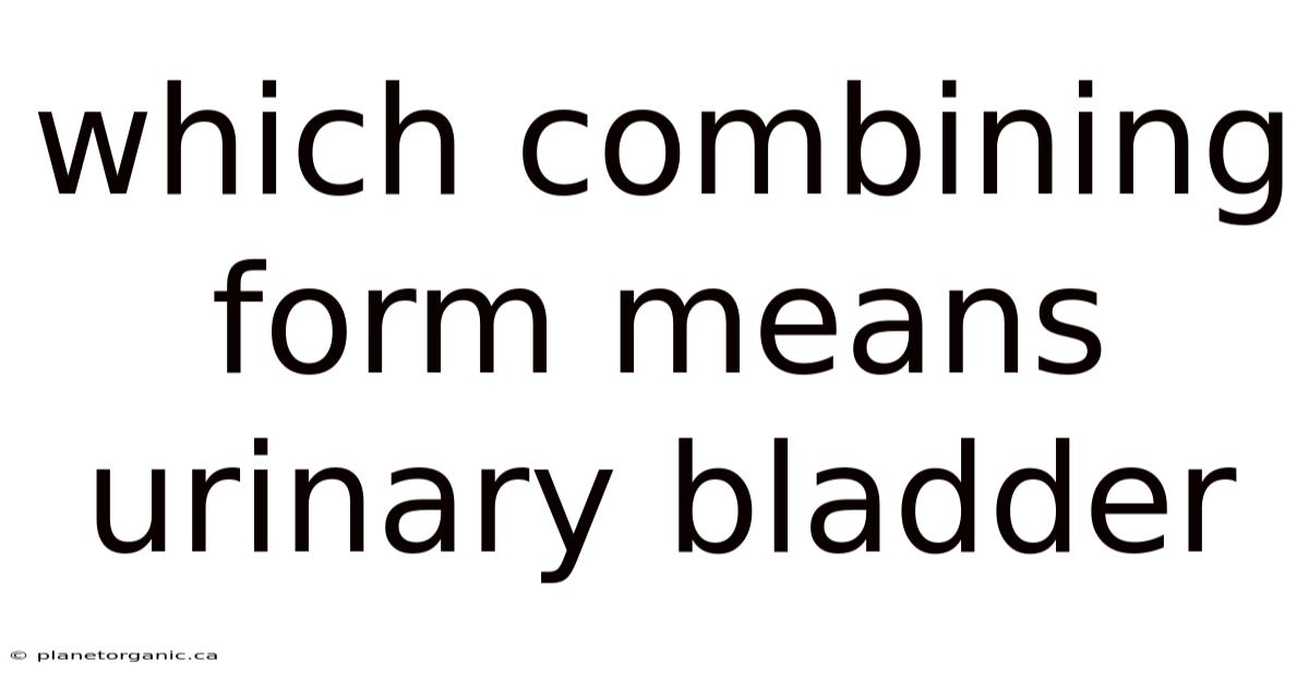 Which Combining Form Means Urinary Bladder