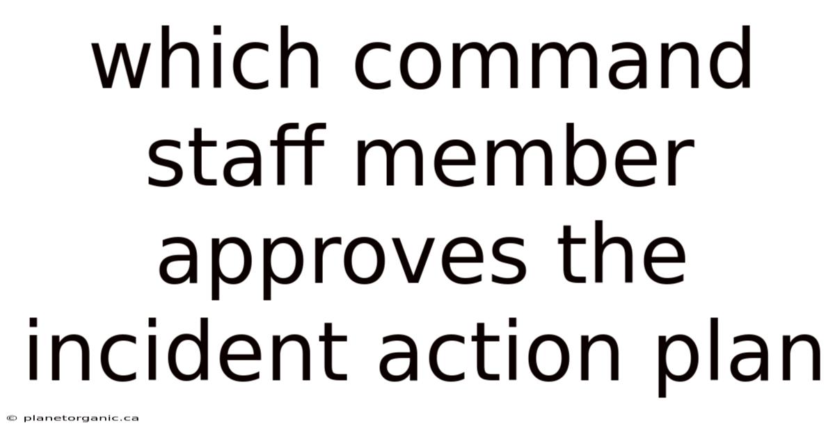 Which Command Staff Member Approves The Incident Action Plan