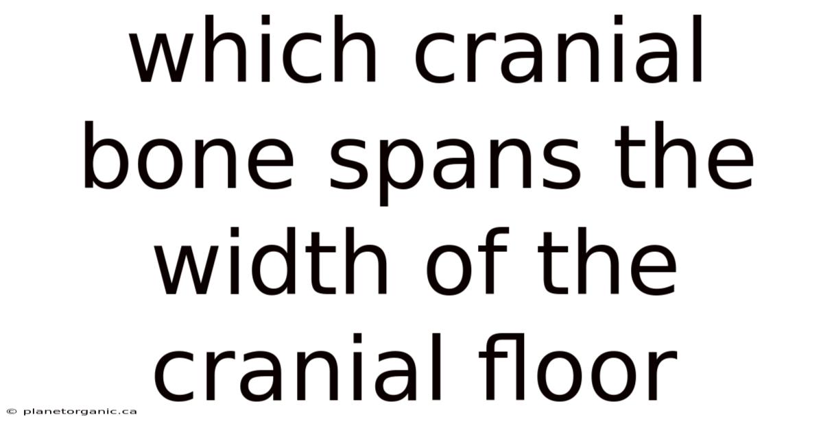 Which Cranial Bone Spans The Width Of The Cranial Floor