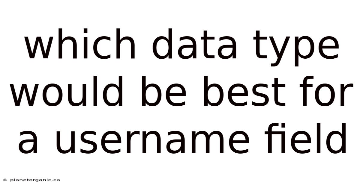 Which Data Type Would Be Best For A Username Field