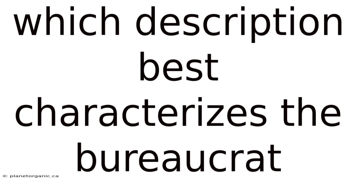 Which Description Best Characterizes The Bureaucrat