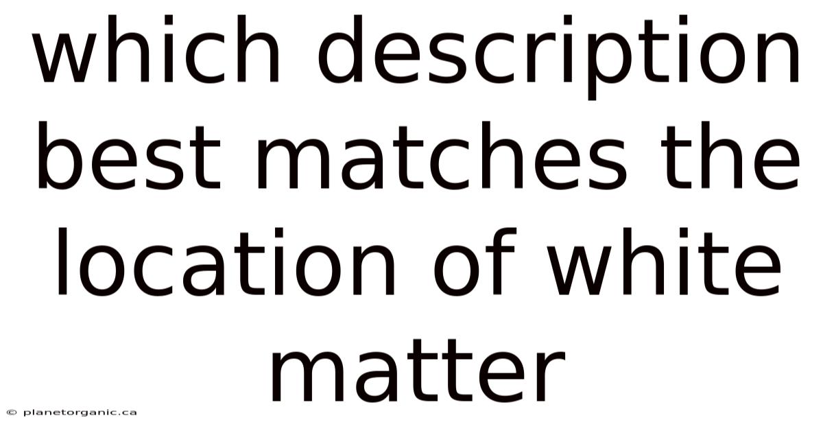 Which Description Best Matches The Location Of White Matter