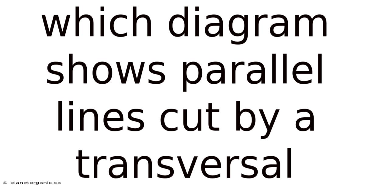 Which Diagram Shows Parallel Lines Cut By A Transversal