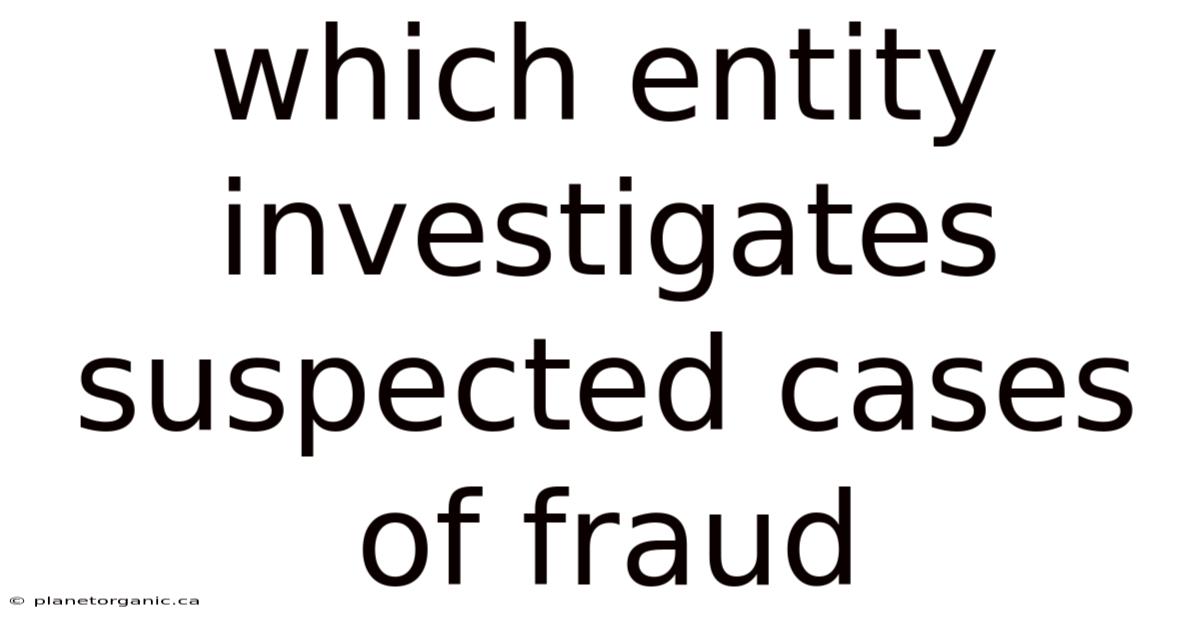 Which Entity Investigates Suspected Cases Of Fraud