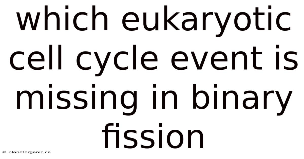 Which Eukaryotic Cell Cycle Event Is Missing In Binary Fission