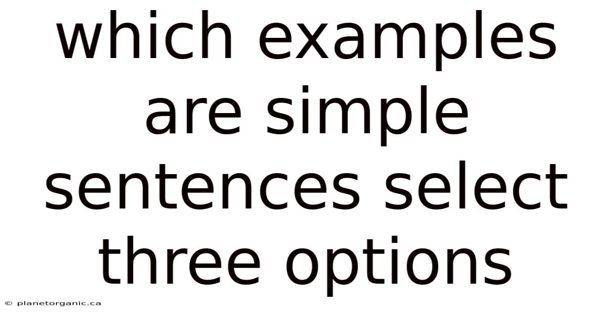 Which Examples Are Simple Sentences Select Three Options