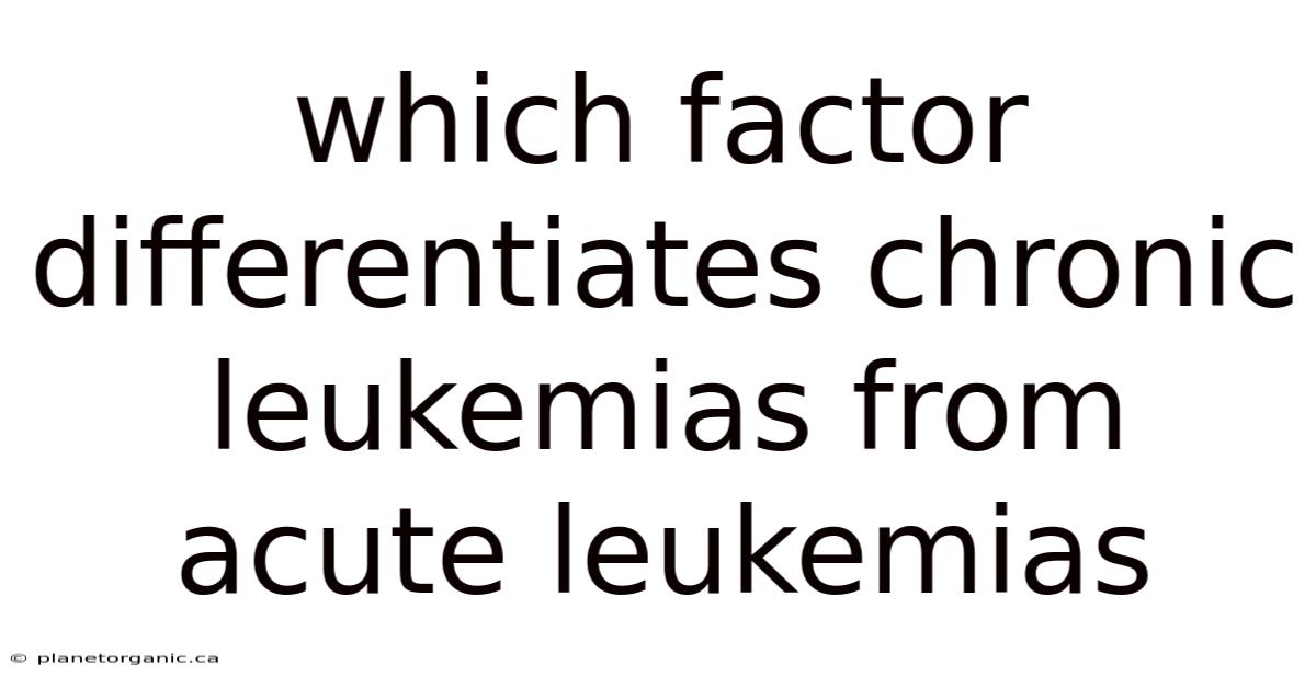 Which Factor Differentiates Chronic Leukemias From Acute Leukemias