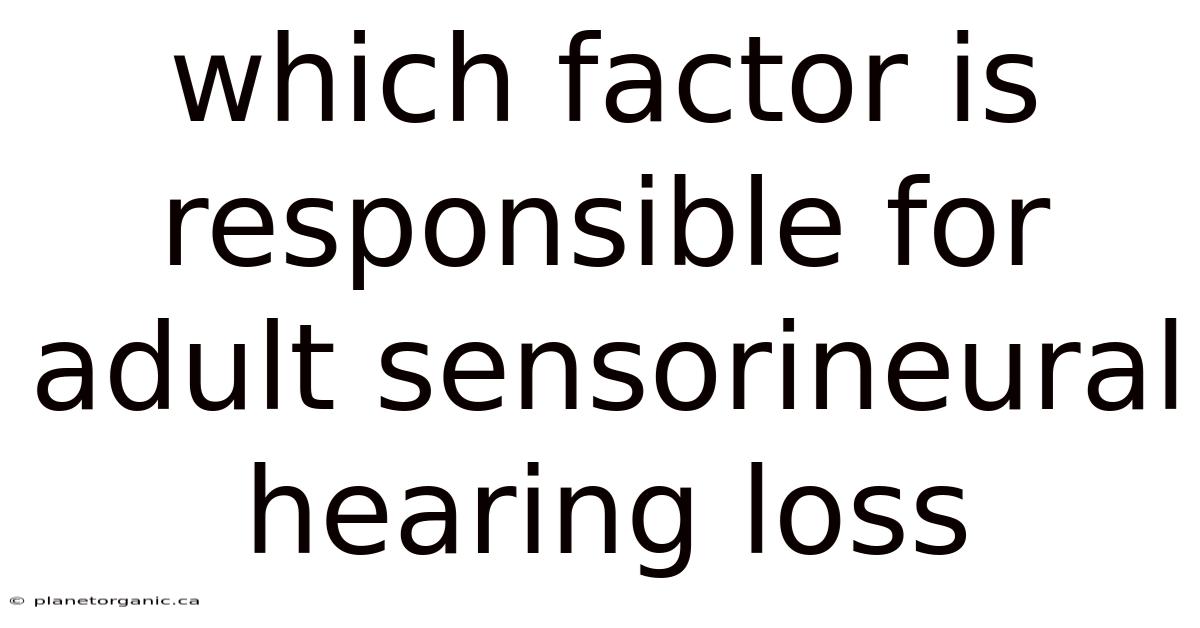 Which Factor Is Responsible For Adult Sensorineural Hearing Loss