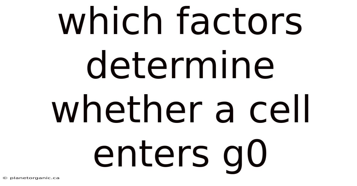 Which Factors Determine Whether A Cell Enters G0