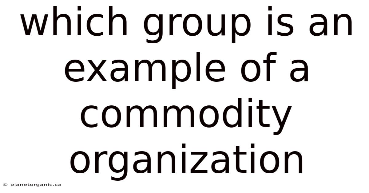 Which Group Is An Example Of A Commodity Organization