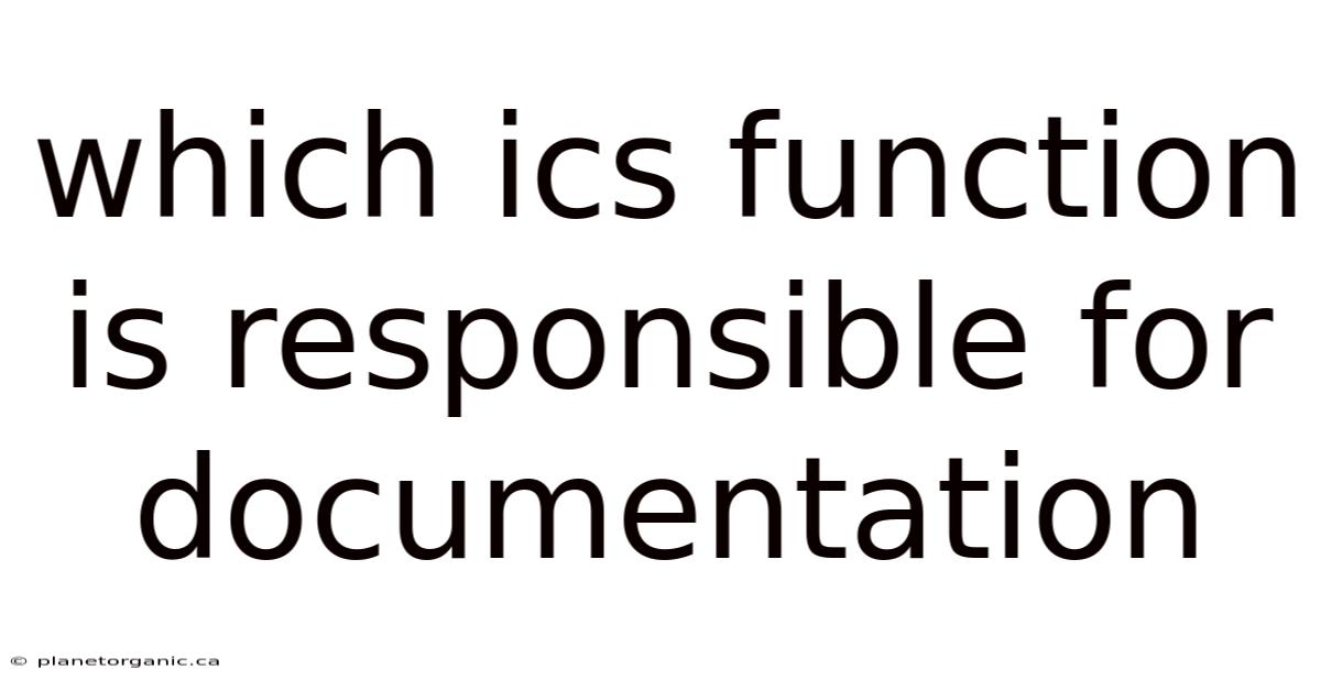 Which Ics Function Is Responsible For Documentation