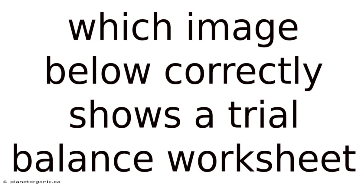 Which Image Below Correctly Shows A Trial Balance Worksheet