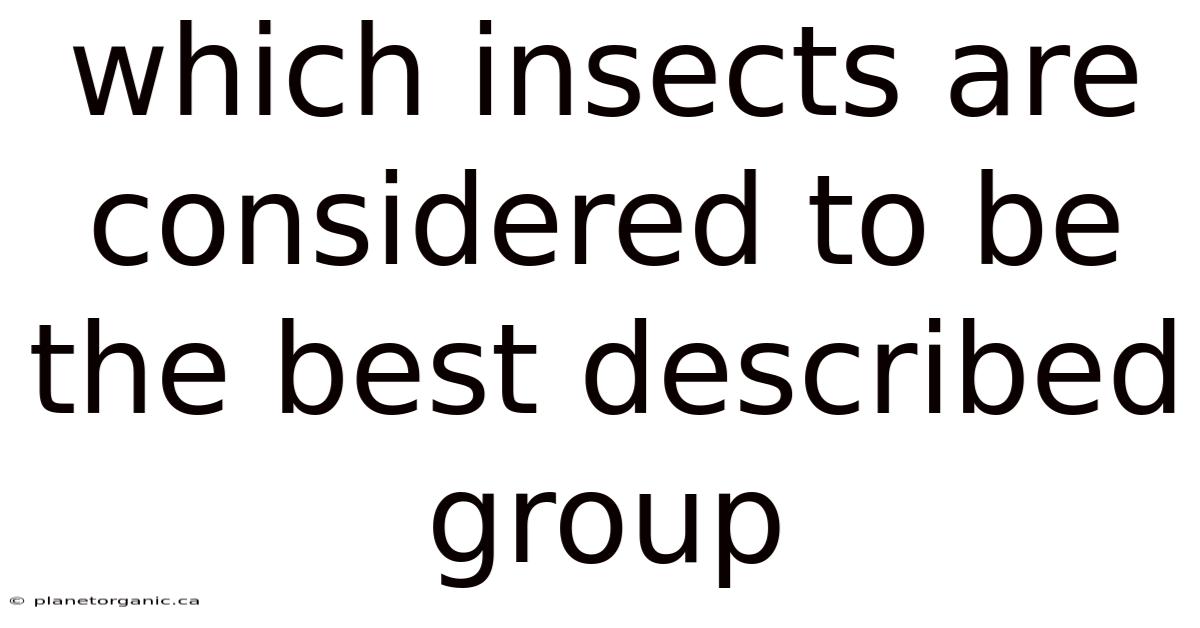 Which Insects Are Considered To Be The Best Described Group