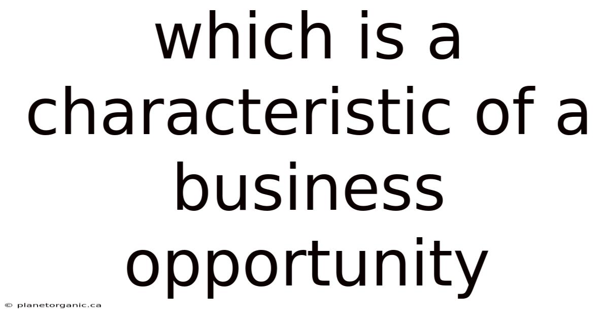 Which Is A Characteristic Of A Business Opportunity