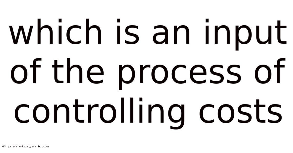 Which Is An Input Of The Process Of Controlling Costs