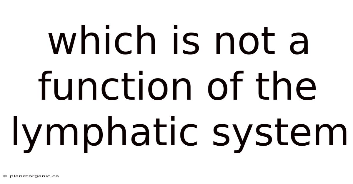 Which Is Not A Function Of The Lymphatic System