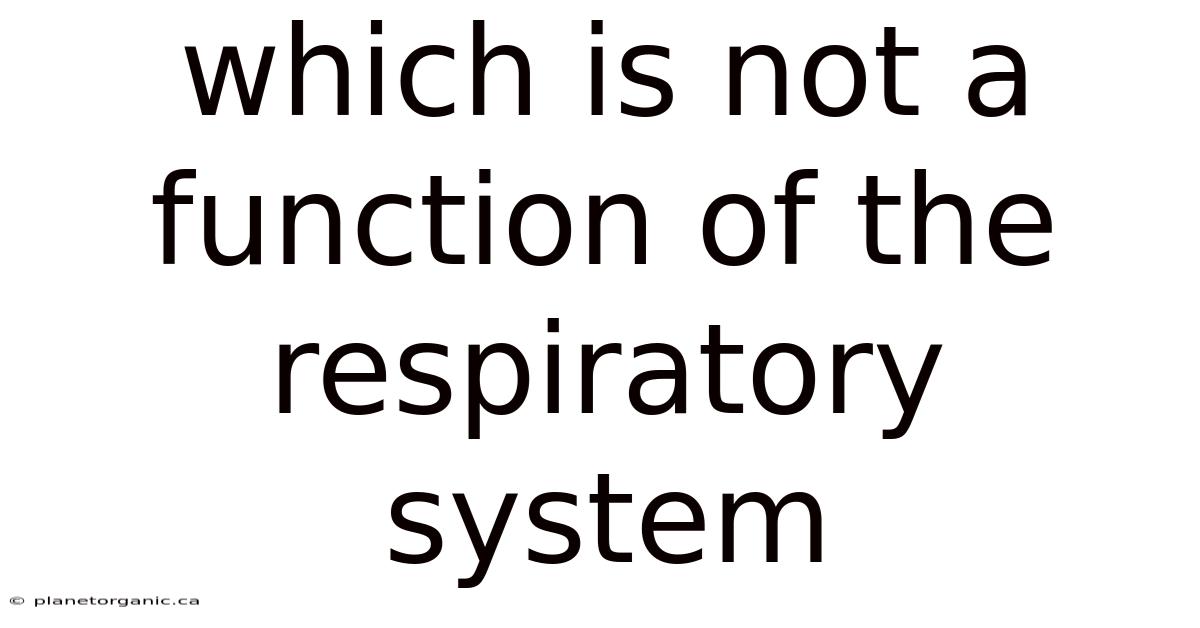 Which Is Not A Function Of The Respiratory System