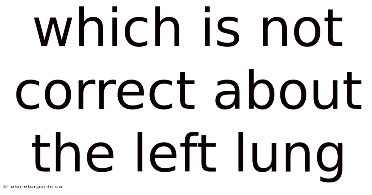 Which Is Not Correct About The Left Lung
