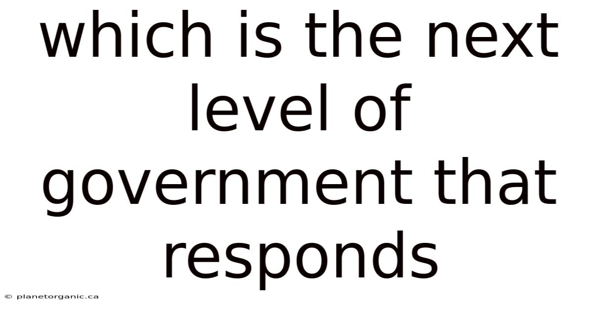 Which Is The Next Level Of Government That Responds