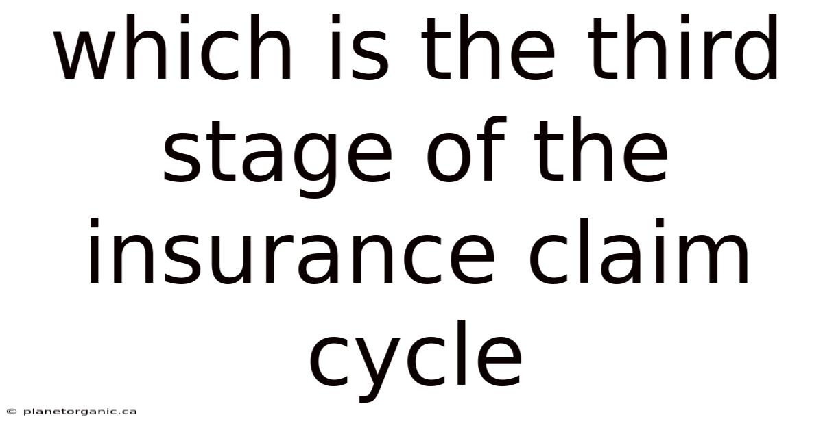 Which Is The Third Stage Of The Insurance Claim Cycle