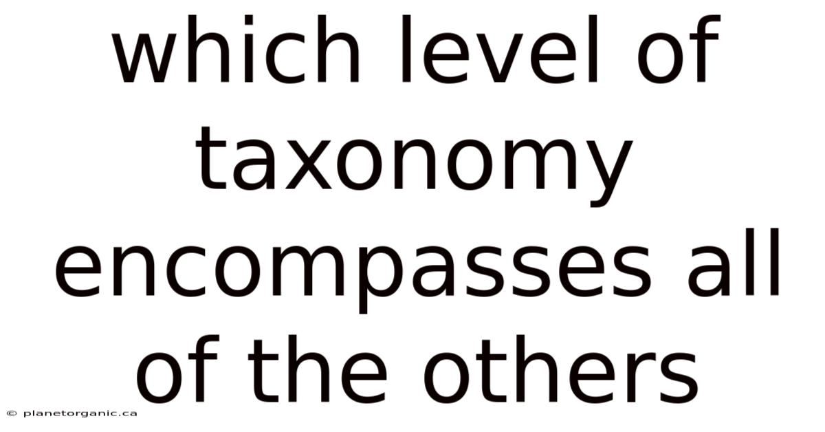 Which Level Of Taxonomy Encompasses All Of The Others