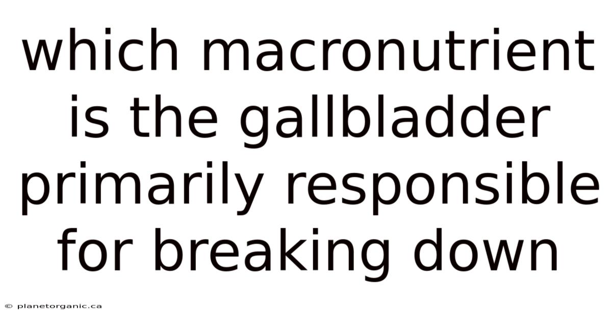 Which Macronutrient Is The Gallbladder Primarily Responsible For Breaking Down