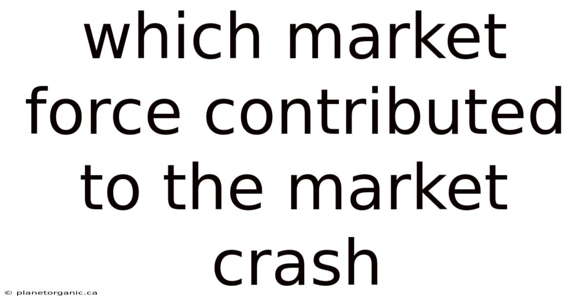 Which Market Force Contributed To The Market Crash