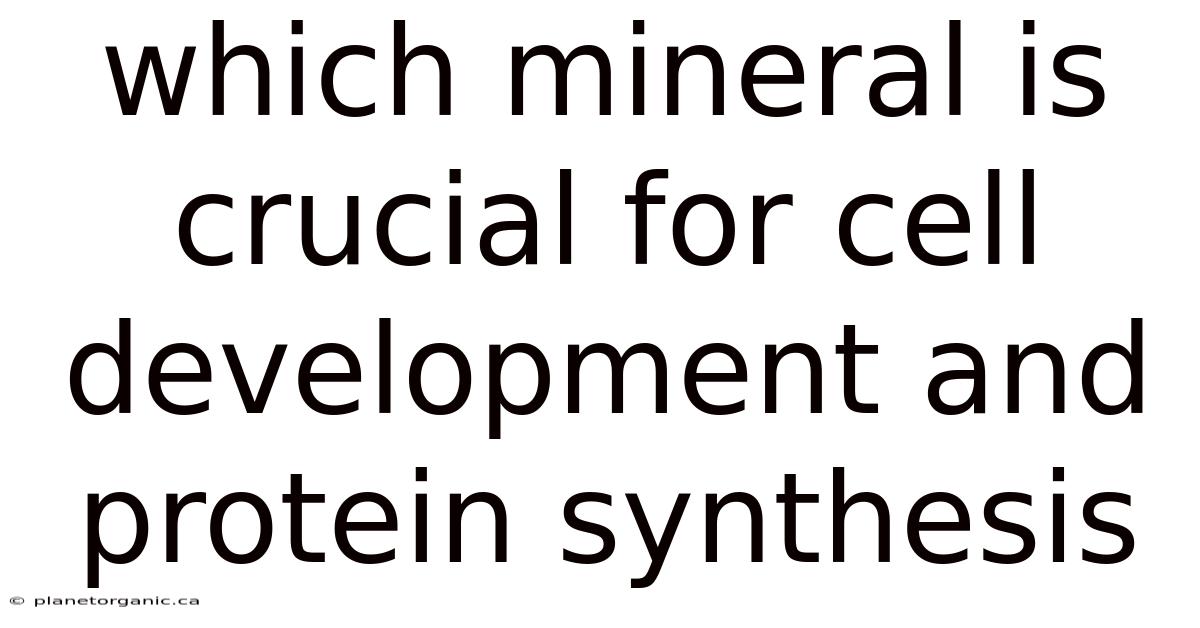 Which Mineral Is Crucial For Cell Development And Protein Synthesis
