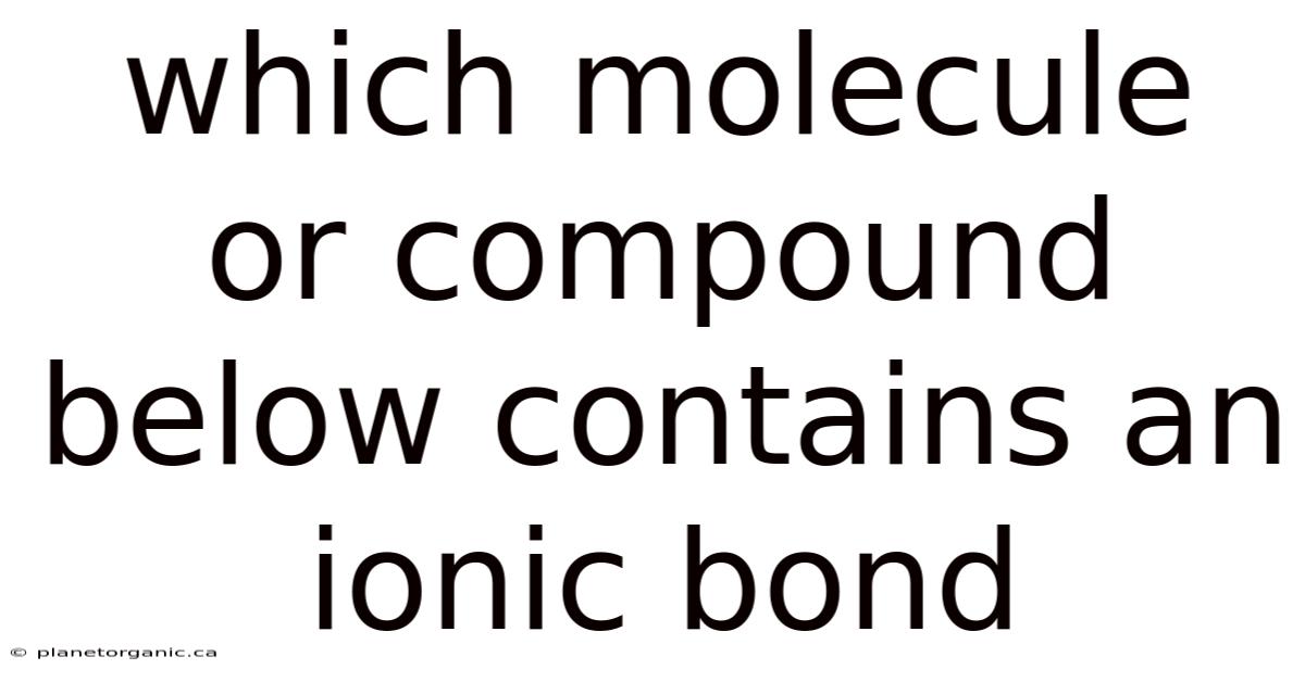 Which Molecule Or Compound Below Contains An Ionic Bond