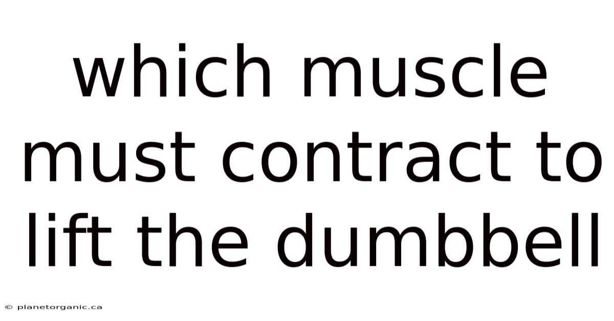 Which Muscle Must Contract To Lift The Dumbbell