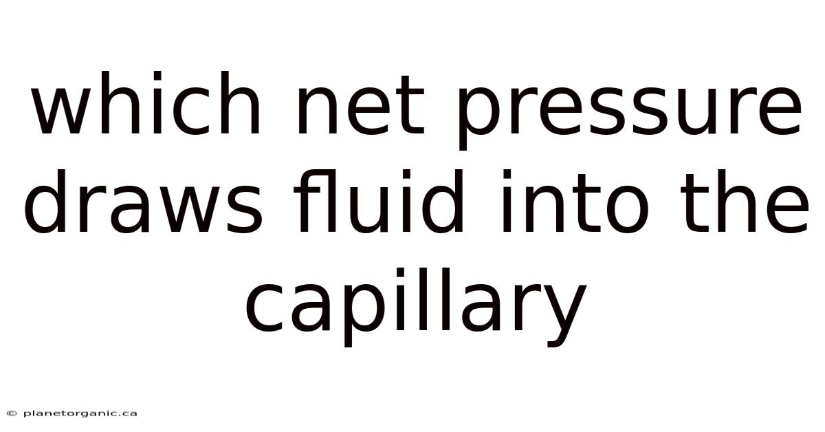 Which Net Pressure Draws Fluid Into The Capillary