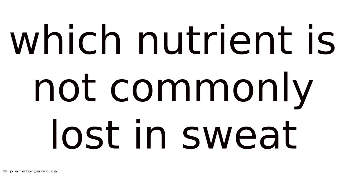 Which Nutrient Is Not Commonly Lost In Sweat