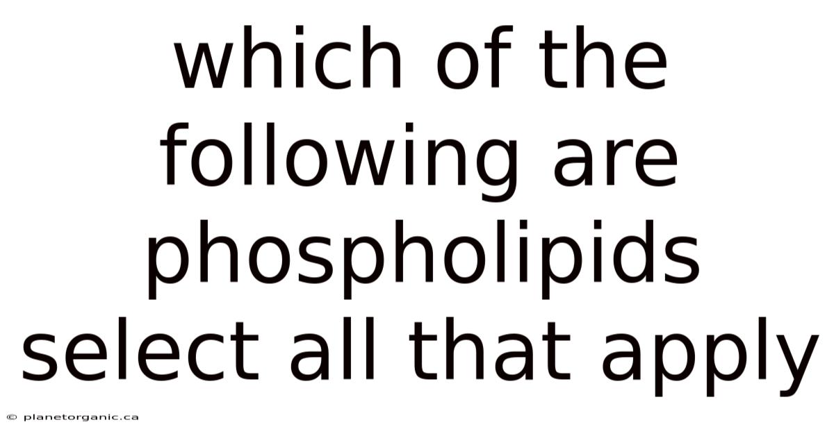 Which Of The Following Are Phospholipids Select All That Apply