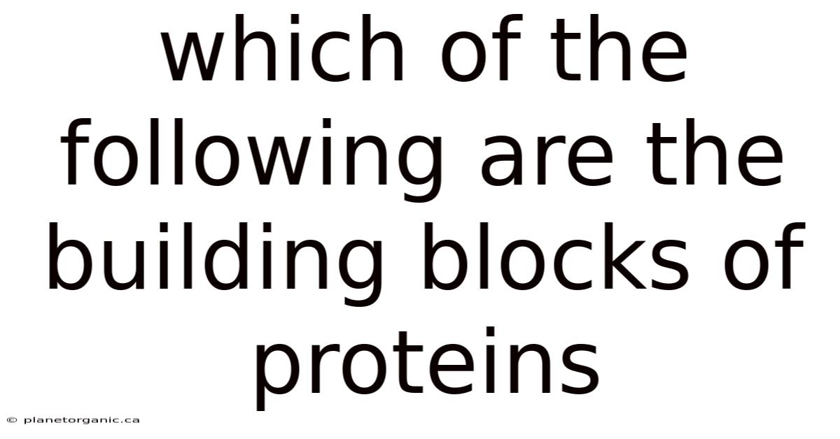Which Of The Following Are The Building Blocks Of Proteins