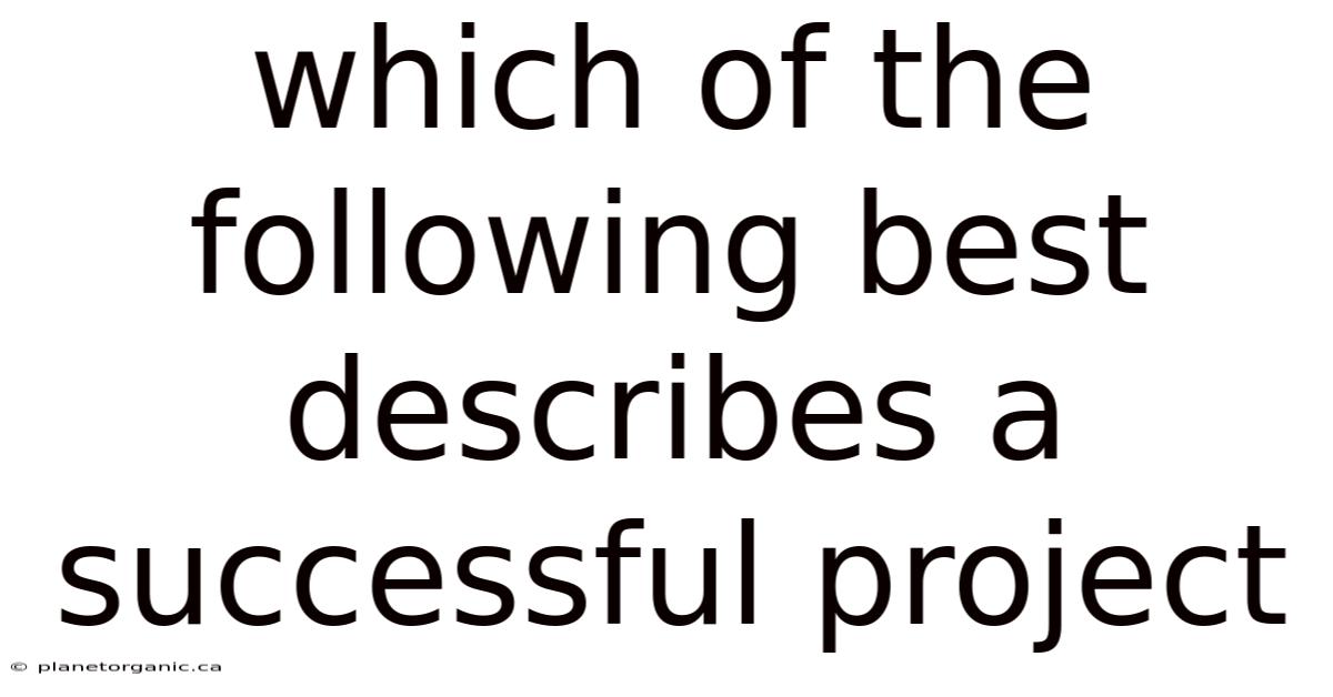 Which Of The Following Best Describes A Successful Project