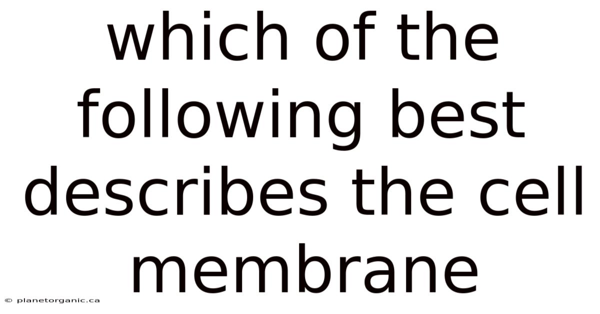 Which Of The Following Best Describes The Cell Membrane