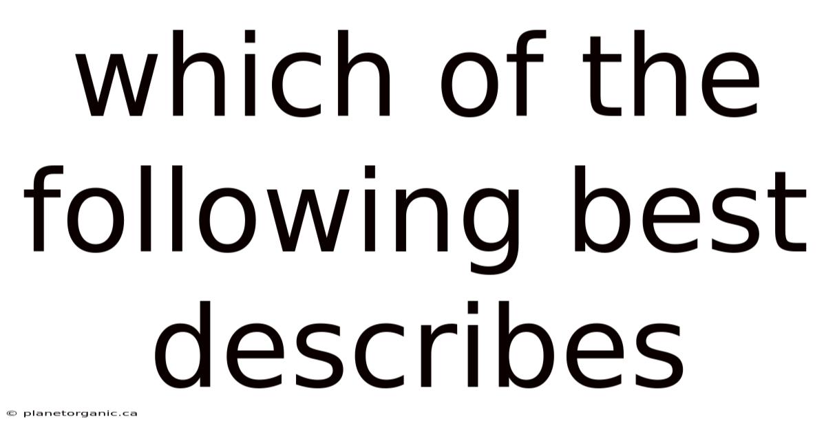 Which Of The Following Best Describes