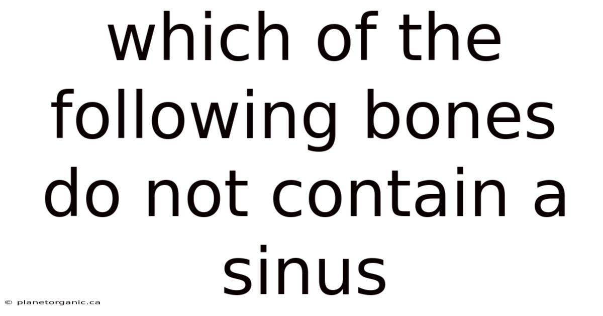 Which Of The Following Bones Do Not Contain A Sinus