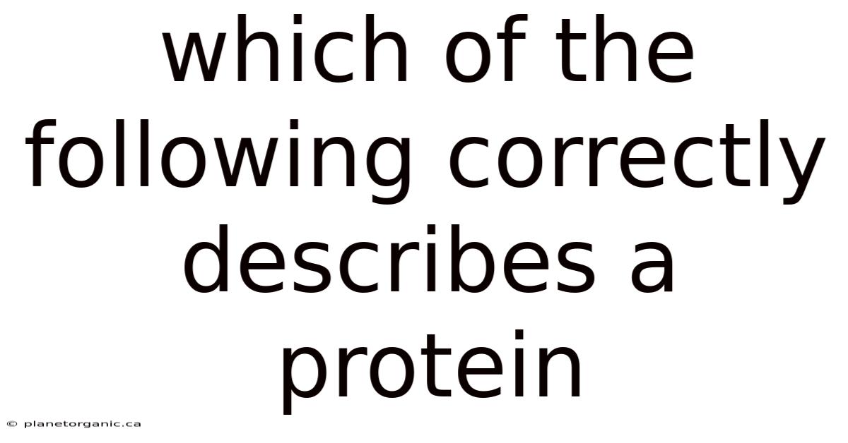 Which Of The Following Correctly Describes A Protein
