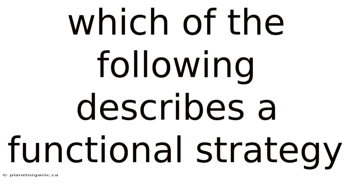 Which Of The Following Describes A Functional Strategy